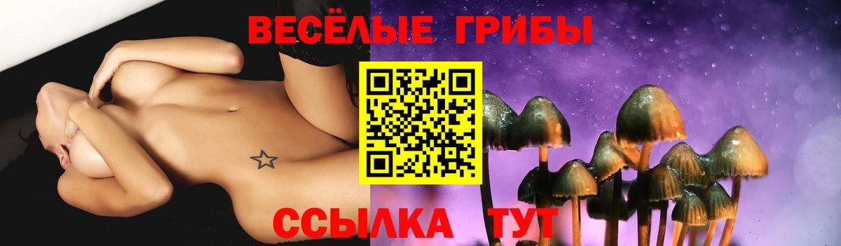 Глазов  Псилоцибиновые грибы мухоморы  Вход с VPN 
